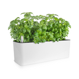 Rectangle Self Watering Planter