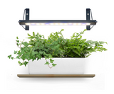 LED Grow Light With Stand